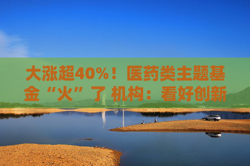 大涨超40%！医药类主题基金“火”了 机构：看好创新药投资机会