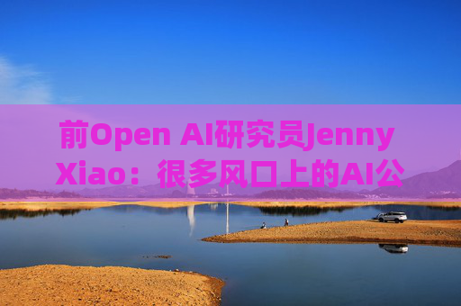 前Open AI研究员Jenny Xiao：很多风口上的AI公司都将昙花一现