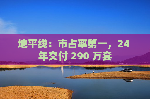 地平线：市占率第一，24 年交付 290 万套