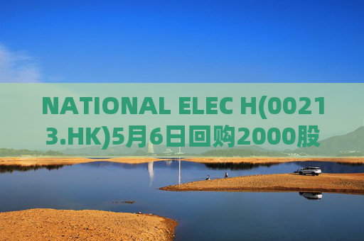 NATIONAL ELEC H(00213.HK)5月6日回购2000股  第1张