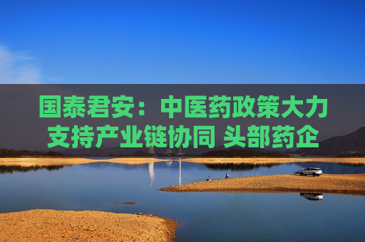 国泰君安：中医药政策大力支持产业链协同 头部药企有望率先获益