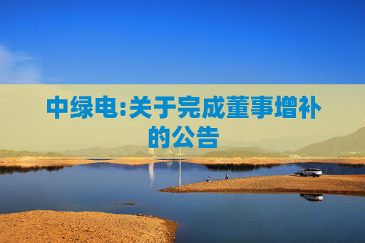 中绿电:关于完成董事增补的公告