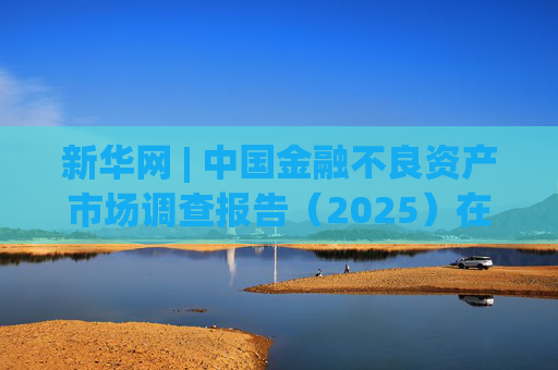 新华网 | 中国金融不良资产市场调查报告（2025）在北京发布