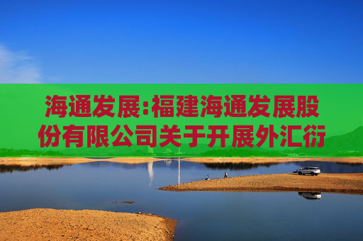 海通发展:福建海通发展股份有限公司关于开展外汇衍生品交易业务的公告
