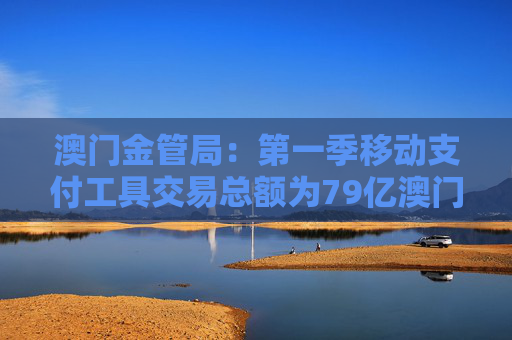 澳门金管局：第一季移动支付工具交易总额为79亿澳门元 同比上升8.7%