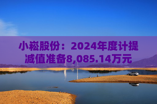 小崧股份：2024年度计提减值准备8,085.14万元