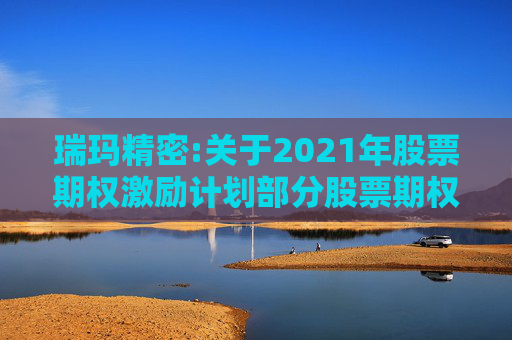 瑞玛精密:关于2021年股票期权激励计划部分股票期权注销完成的公告
