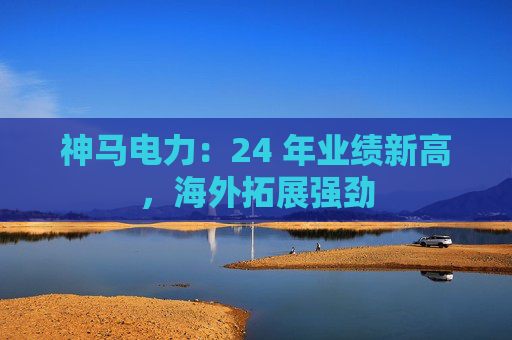 神马电力：24 年业绩新高，海外拓展强劲