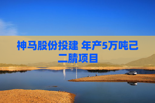 神马股份投建 年产5万吨己二腈项目