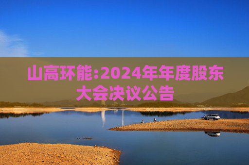 山高环能:2024年年度股东大会决议公告