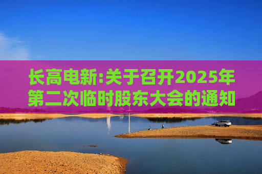 长高电新:关于召开2025年第二次临时股东大会的通知