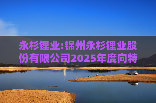 永杉锂业:锦州永杉锂业股份有限公司2025年度向特定对象发行A股股票方案论证分析报告
