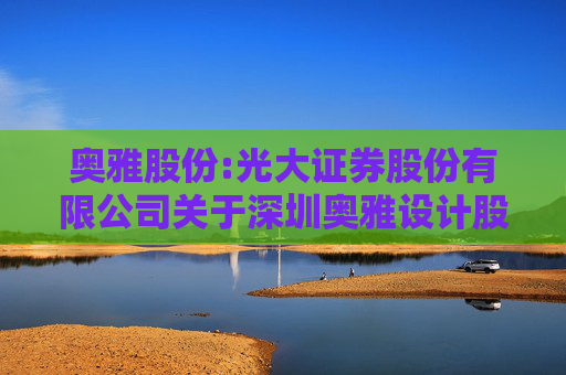 奥雅股份:光大证券股份有限公司关于深圳奥雅设计股份有限公司2024年度内部控制评价报告的核查意见