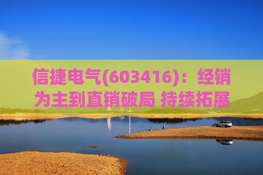 信捷电气(603416)：经销为主到直销破局 持续拓展第二成长曲线