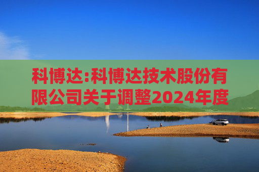 科博达:科博达技术股份有限公司关于调整2024年度利润分配总额公告的更正公告
