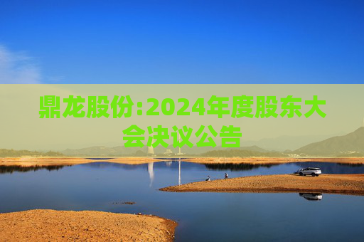 鼎龙股份:2024年度股东大会决议公告