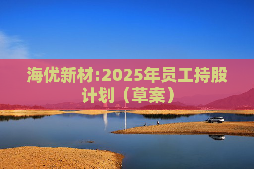 海优新材:2025年员工持股计划（草案）