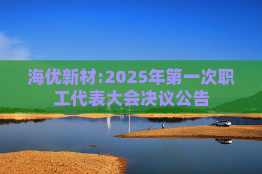 海优新材:2025年第一次职工代表大会决议公告