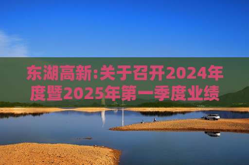 东湖高新:关于召开2024年度暨2025年第一季度业绩暨现金分红说明会的公告  第1张