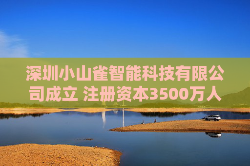 深圳小山雀智能科技有限公司成立 注册资本3500万人民币 第1张 深圳小山雀智能科技有限公司成立 注册资本3500万人民币 第1张
