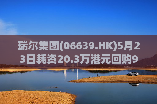 瑞尔集团(06639.HK)5月23日耗资20.3万港元回购9万股