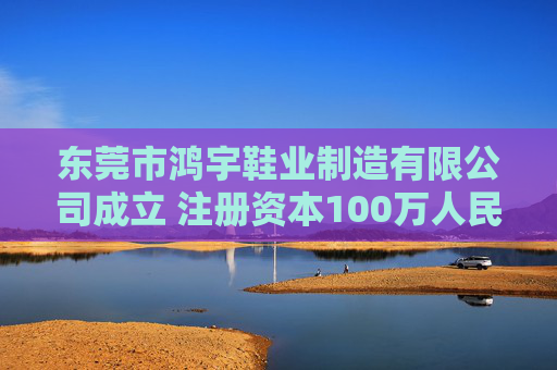 东莞市鸿宇鞋业制造有限公司成立 注册资本100万人民币