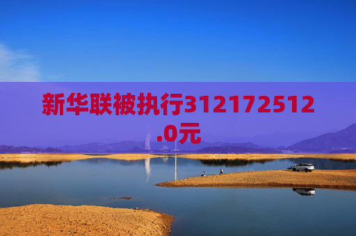 新华联被执行312172512.0元  第1张