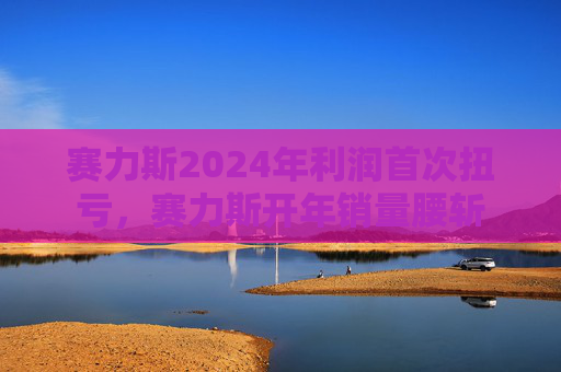 赛力斯2024年利润首次扭亏，赛力斯开年销量腰斩