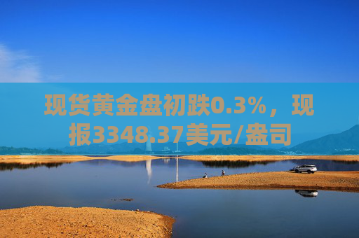 现货黄金盘初跌0.3%，现报3348.37美元/盎司