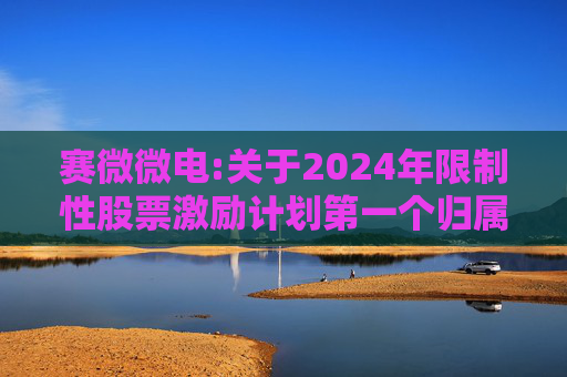赛微微电:关于2024年限制性股票激励计划第一个归属期归属条件成就的公告