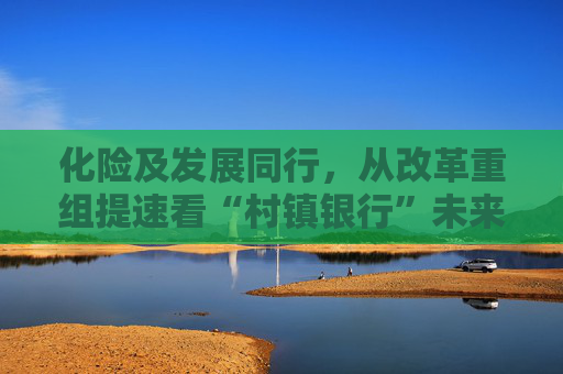 化险及发展同行,从改革重组提速看“村镇银行”未来出路  第1张 化险及发展同行,从改革重组提速看“村镇银行”未来出路  第1张