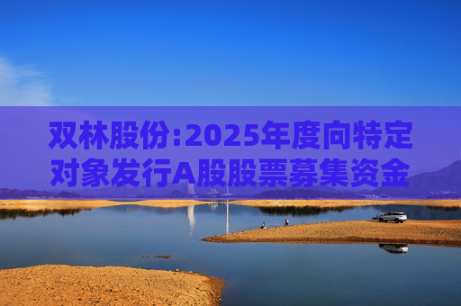 双林股份:2025年度向特定对象发行A股股票募集资金使用的可行性分析报告