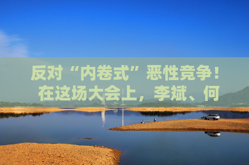 反对“内卷式”恶性竞争！  在这场大会上，李斌、何小鹏、閤先庆等表态“价格战”