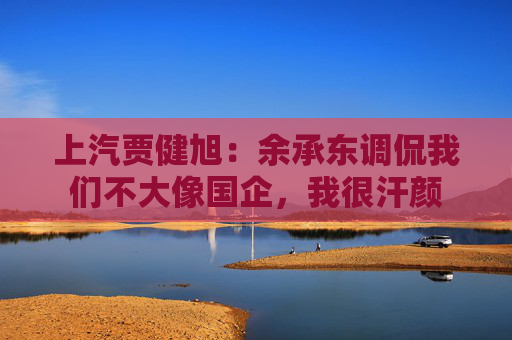 上汽贾健旭：余承东调侃我们不大像国企，我很汗颜