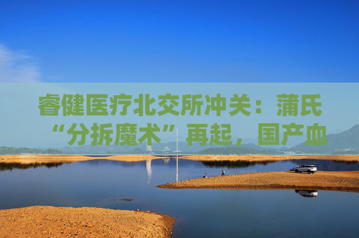 睿健医疗北交所冲关:蒲氏“分拆魔术”再起,国产血透器械能否“透”见未来?  第1张 睿健医疗北交所冲关:蒲氏“分拆魔术”再起,国产血透器械能否“透”见未来?  第1张