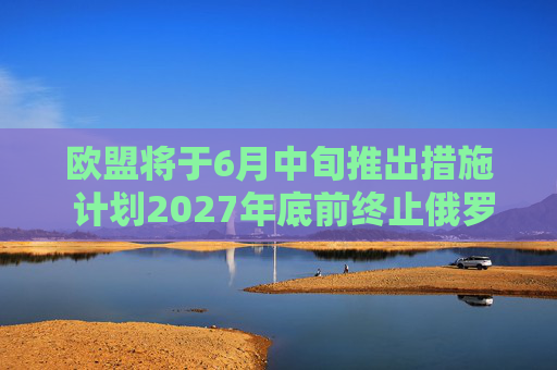 欧盟将于6月中旬推出措施 计划2027年底前终止俄罗斯能源进口  第1张 欧盟将于6月中旬推出措施 计划2027年底前终止俄罗斯能源进口  第1张