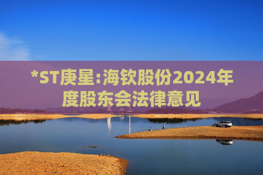 *ST庚星:海钦股份2024年度股东会法律意见