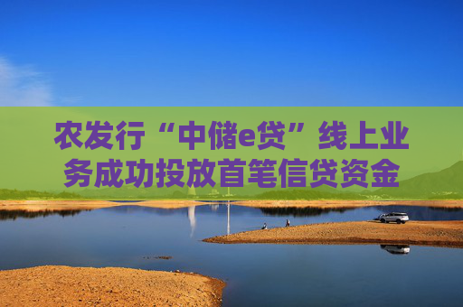 农发行“中储e贷”线上业务成功投放首笔信贷资金