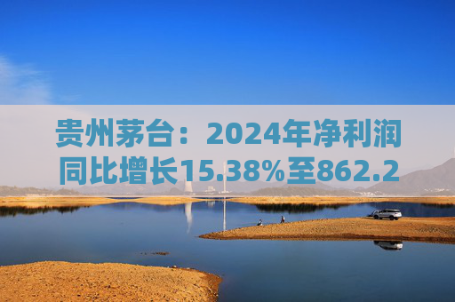 贵州茅台：2024年净利润同比增长15.38%至862.28亿元