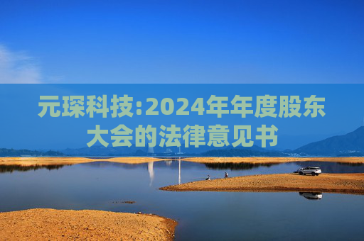 元琛科技:2024年年度股东大会的法律意见书