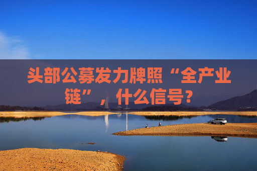 头部公募发力牌照“全产业链”，什么信号？  第1张