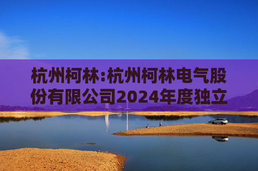 杭州柯林:杭州柯林电气股份有限公司2024年度独立董事述职报告(戴国骏)