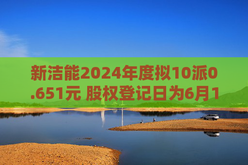 新洁能2024年度拟10派0.651元 股权登记日为6月12日