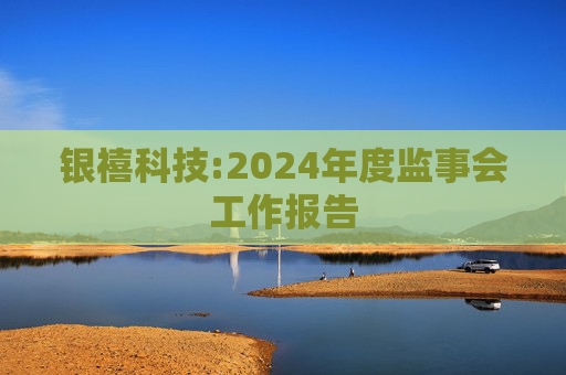 银禧科技:2024年度监事会工作报告