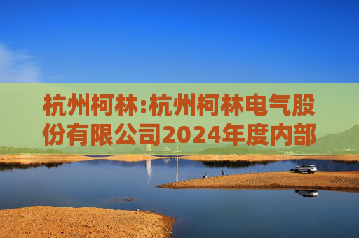 杭州柯林:杭州柯林电气股份有限公司2024年度内部控制审计报告