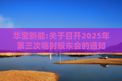 华宝新能:关于召开2025年第三次临时股东会的通知  第1张