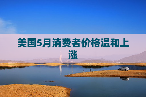 美国5月消费者价格温和上涨