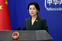 中方在安理会关于西撒哈拉问题表决中投弃权票，外交部回应