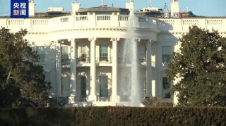 30小时停火结束俄乌互指违约，美总统喊话：别打了，先谈生意