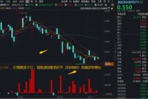 创新药震荡不止，资金却坚定逆行，什么原因？港股通创新药ETF（520880）基金经理最新解读来了！